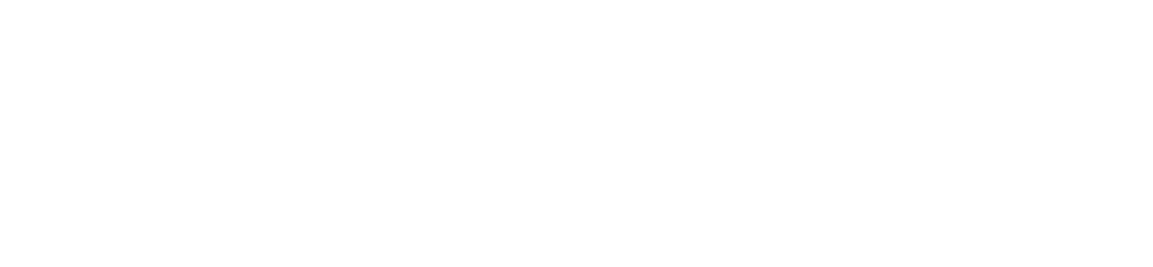 Latitude 20 Logo
